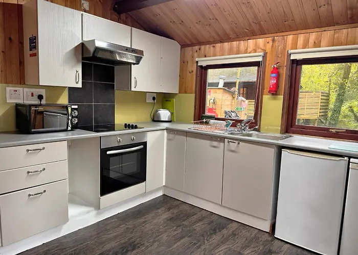Snowdrop 14 Hot Tub-Woodlandlodges-Tenby-Pendine