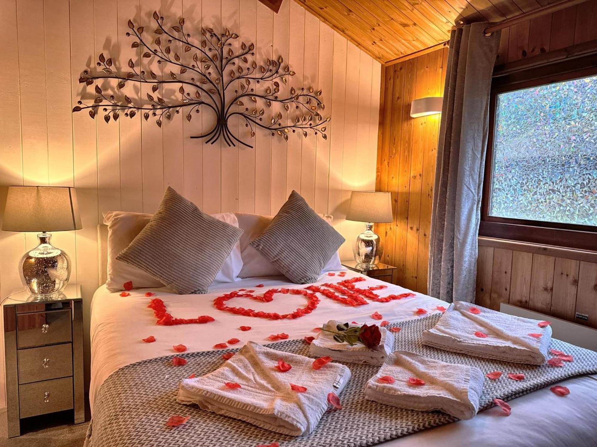 Chalet Snowdrop 14 Hot Tub-woodlandlodges-tenby-pendine